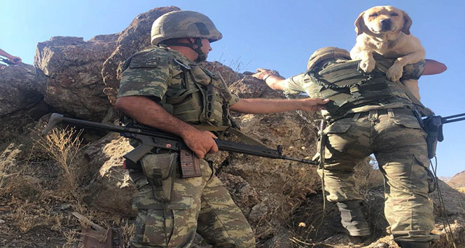 Mayın arama köpeği ‘Yay’ operasyonda