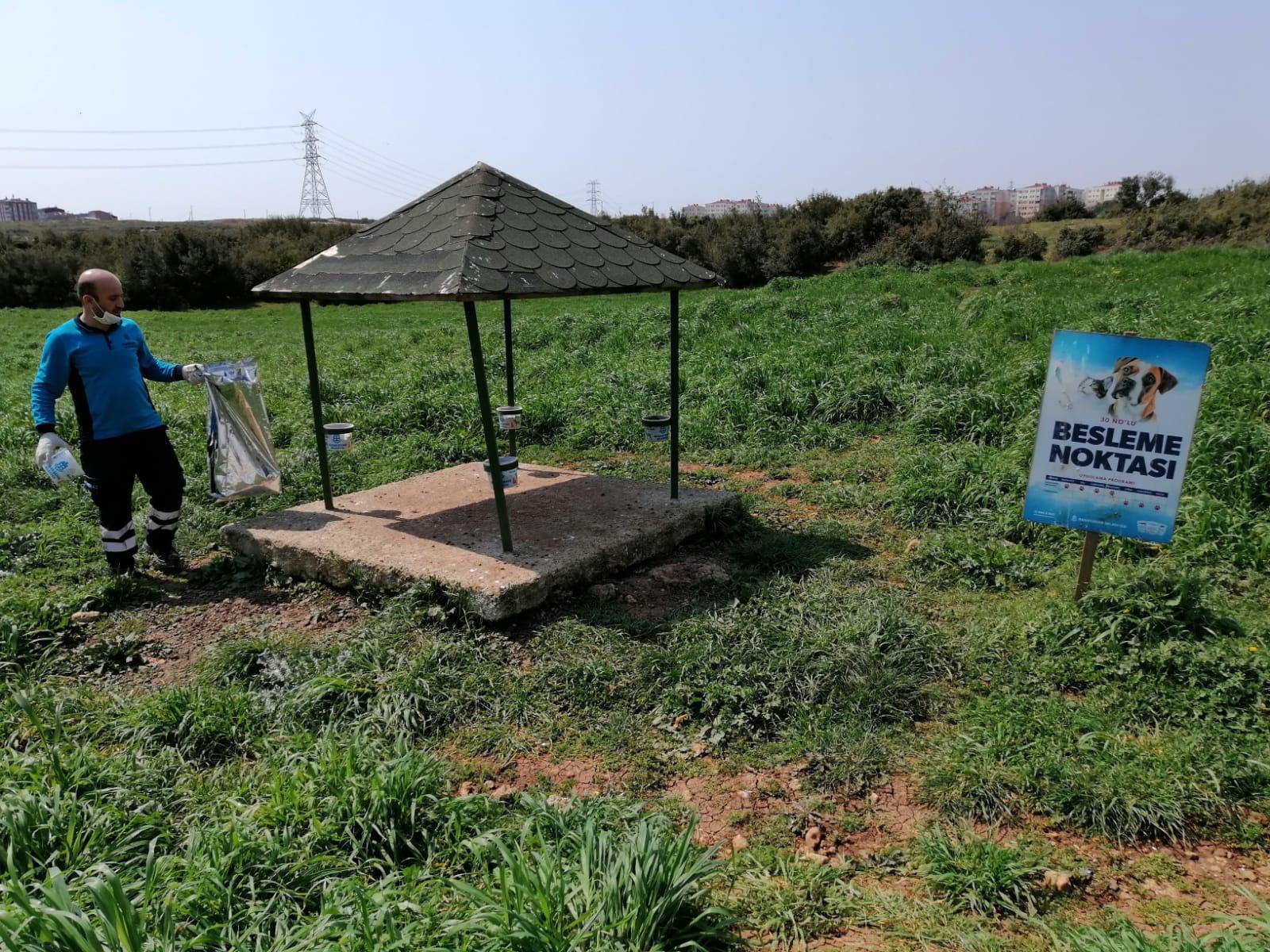 BAŞAKŞEHİR’DE SOKAK HAYVANLARI UNUTULMADI