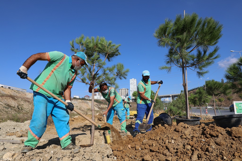 BAŞAKŞEHİR’DE YEŞİL ALANLARA SONBAHAR BAKIMI
